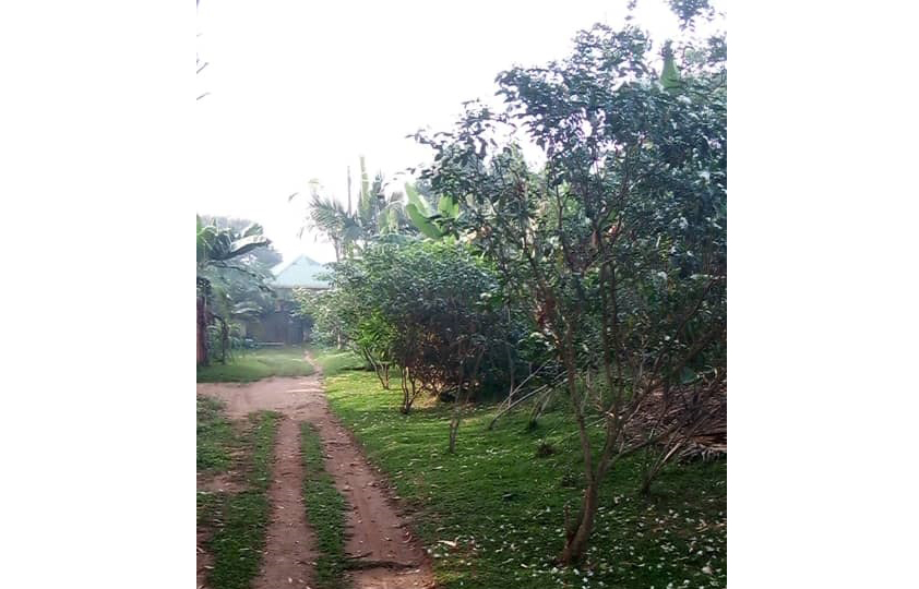 WhatsApp Image 2021-08-30 at 10.22.24.jpg